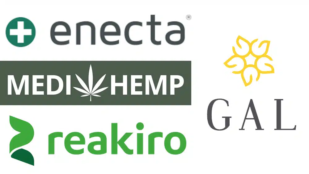 Forgalmazott márkák